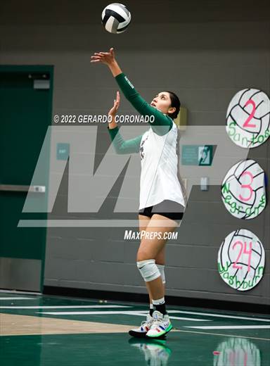 null - Photo 01