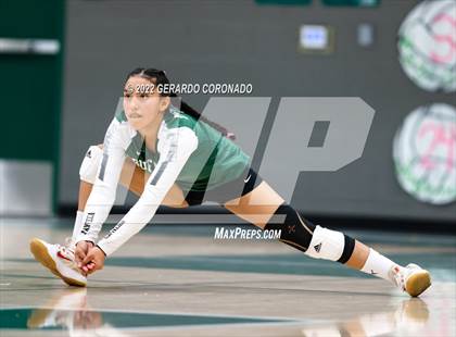 Thumbnail 1 in Sierra @ Manteca photogallery.