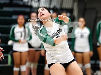 Thumbnail 1 in Sierra @ Manteca photogallery.