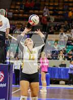 Photo from the gallery "Rye vs. Meeker (CHSAA 2A Round 1)"