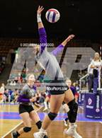 Photo from the gallery "Rye vs. Meeker (CHSAA 2A Round 1)"