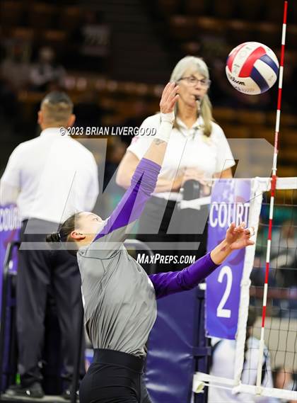 Thumbnail 2 in Rye vs. Meeker (CHSAA 2A Round 1) photogallery.