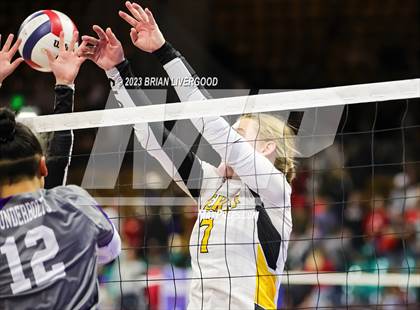 Thumbnail 3 in Rye vs. Meeker (CHSAA 2A Round 1) photogallery.