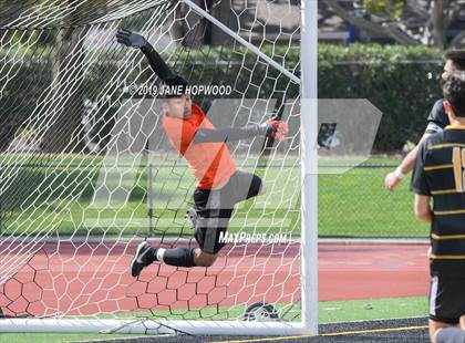 Thumbnail 1 in Mountain View vs Wilcox (CIF CCS D3 Quarterfinal) photogallery.