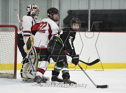 Thumbnail 1 in Norwalk/McMahon @ NFA/St. Bernard/Bacon Academy photogallery.