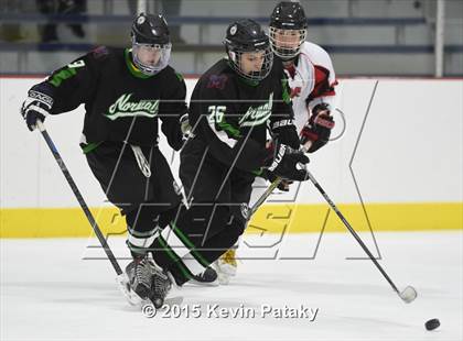 Thumbnail 3 in Norwalk/McMahon @ NFA/St. Bernard/Bacon Academy photogallery.