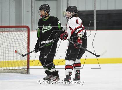 Thumbnail 1 in Norwalk/McMahon @ NFA/St. Bernard/Bacon Academy photogallery.