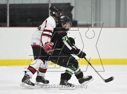 Thumbnail 1 in Norwalk/McMahon @ NFA/St. Bernard/Bacon Academy photogallery.