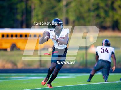 Thumbnail 1 in Baldwin vs Peach County  photogallery.