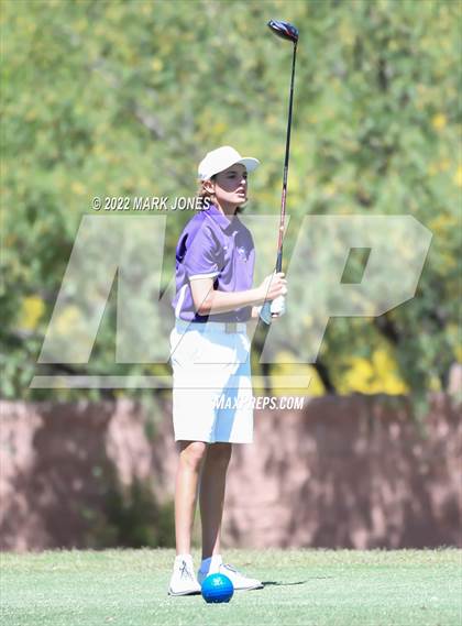 Thumbnail 3 in AIA Division III State Championships  photogallery.