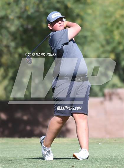Thumbnail 1 in AIA Division III State Championships  photogallery.