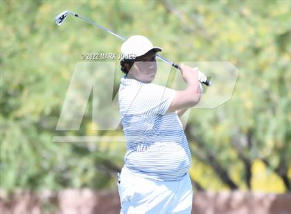 Thumbnail 3 in AIA Division III State Championships  photogallery.