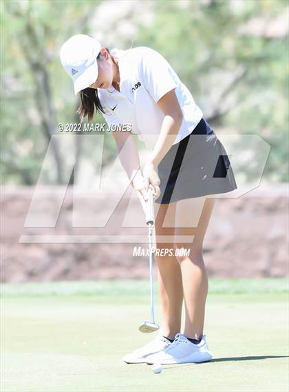 Thumbnail 3 in AIA Division III State Championships  photogallery.
