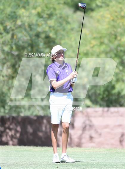Thumbnail 3 in AIA Division III State Championships  photogallery.