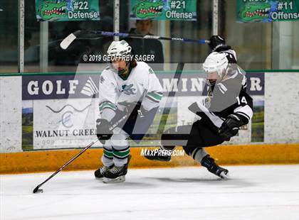 Thumbnail 1 in Palmer @ Standley Lake photogallery.