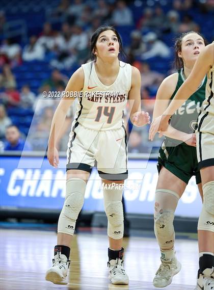 Thumbnail 2 in Robert Lee vs. Neches (UIL 1A State Semifinal) photogallery.