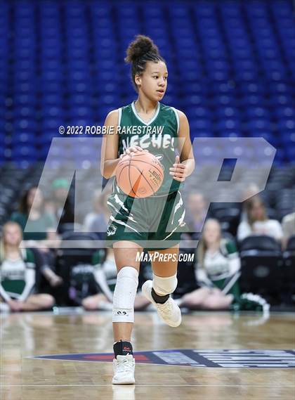 Thumbnail 3 in Robert Lee vs. Neches (UIL 1A State Semifinal) photogallery.