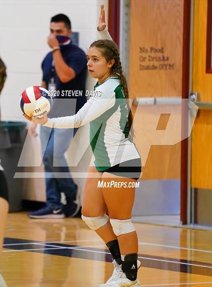 Thumbnail 1 in Basha @ Perry photogallery.