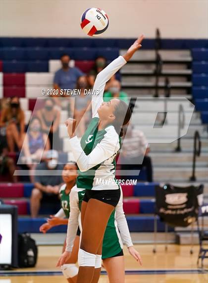 Thumbnail 1 in Basha @ Perry photogallery.
