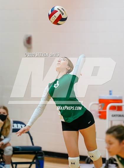 Thumbnail 1 in Basha @ Perry photogallery.