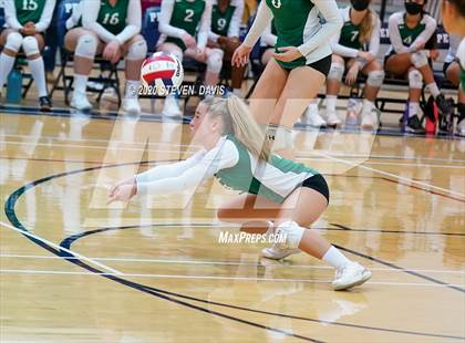 Thumbnail 2 in Basha @ Perry photogallery.