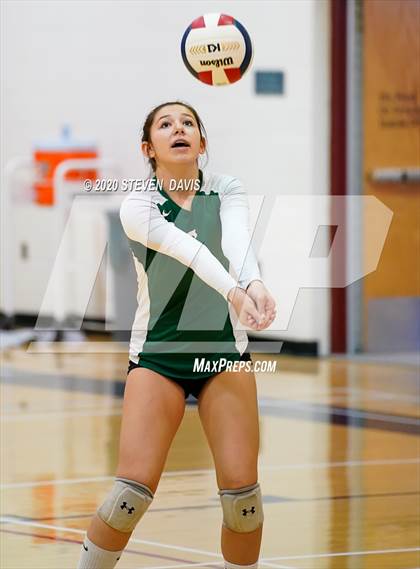 Thumbnail 1 in Basha @ Perry photogallery.