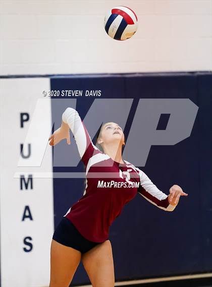 Thumbnail 3 in Basha @ Perry photogallery.