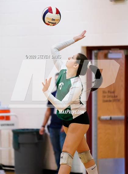 Thumbnail 1 in Basha @ Perry photogallery.
