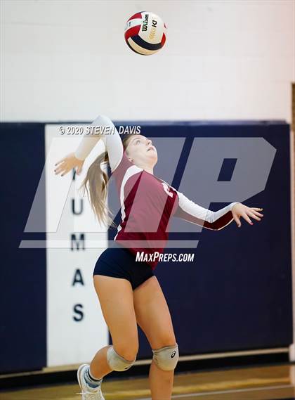Thumbnail 2 in Basha @ Perry photogallery.