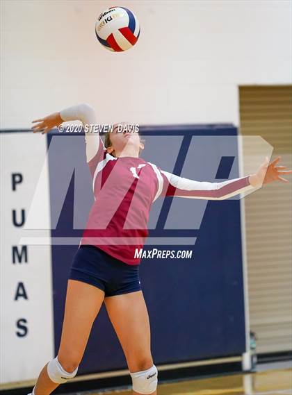 Thumbnail 2 in Basha @ Perry photogallery.
