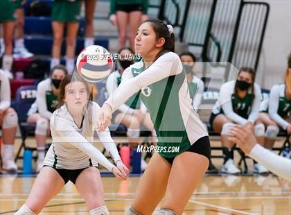 Thumbnail 1 in Basha @ Perry photogallery.