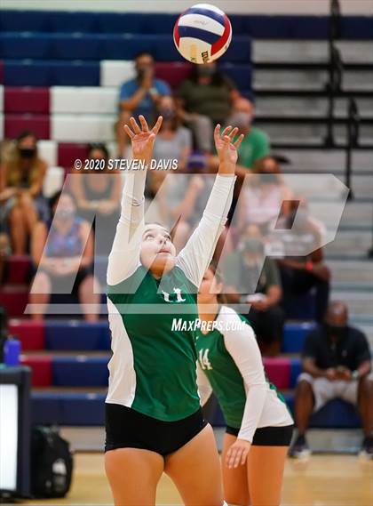 Thumbnail 1 in Basha @ Perry photogallery.