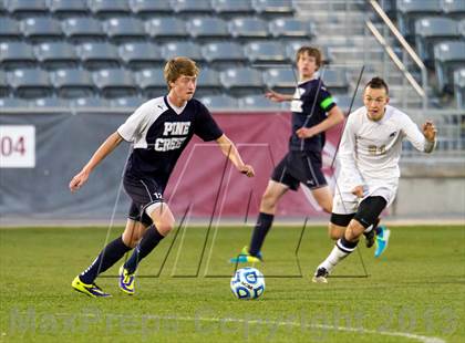 Thumbnail 1 in Pine Creek vs. Rock Canyon (CHSAA 5A Final) photogallery.