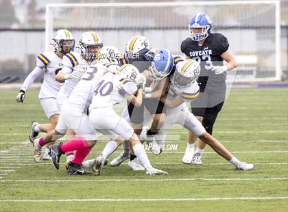 Thumbnail 1 in Covington Catholic @ Campbell County photogallery.