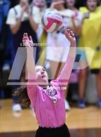 Photo from the gallery "St. Mary's Dominican @ Mt. Carmel"