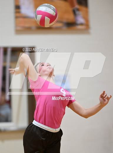 null - Photo 71