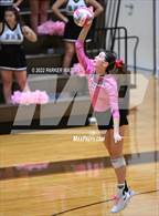 Photo from the gallery "St. Mary's Dominican @ Mt. Carmel"