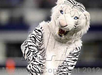 Thumbnail 3 in Lancaster vs. Cedar Park (UIL 4A Division 2 Final) photogallery.