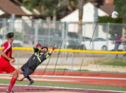 Thumbnail 3 in Loara @ Simi Valley (CIF SS Playoffs) photogallery.