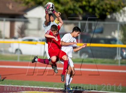 Thumbnail 3 in Loara @ Simi Valley (CIF SS Playoffs) photogallery.