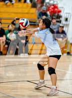Photo from the gallery "Burbank @ Laguna Creek"