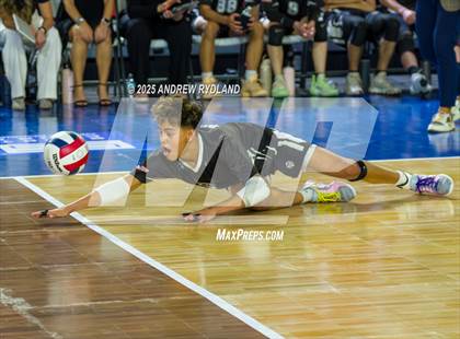 Thumbnail 3 in Pueblo South vs. Severance (CHSAA 4A Round4) photogallery.