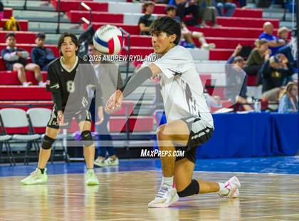 Thumbnail 3 in Pueblo South vs. Severance (CHSAA 4A Round4) photogallery.