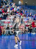 Photo from the gallery "Pueblo South vs. Severance (CHSAA 4A Round4)"