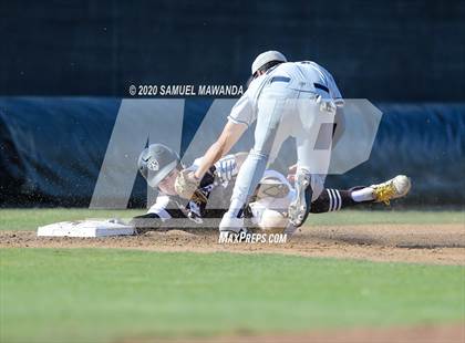 Thumbnail 3 in  Notre Dame (SO) @ Crespi photogallery.
