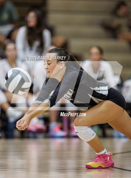 Thumbnail 1 in Lehigh @ Mariner photogallery.
