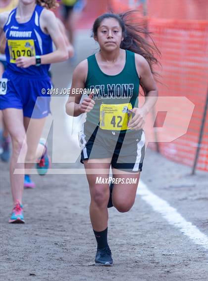 Thumbnail 3 in CIF State Cross Country Championships (Girls D4 Race) photogallery.