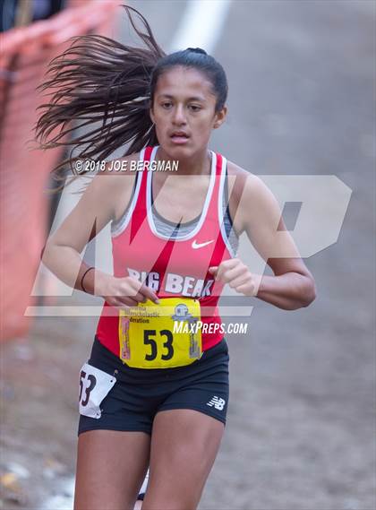 Thumbnail 2 in CIF State Cross Country Championships (Girls D4 Race) photogallery.