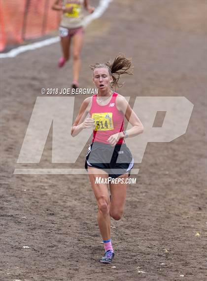 Thumbnail 1 in CIF State Cross Country Championships (Girls D4 Race) photogallery.