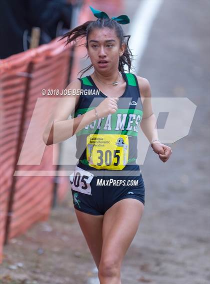 Thumbnail 3 in CIF State Cross Country Championships (Girls D4 Race) photogallery.